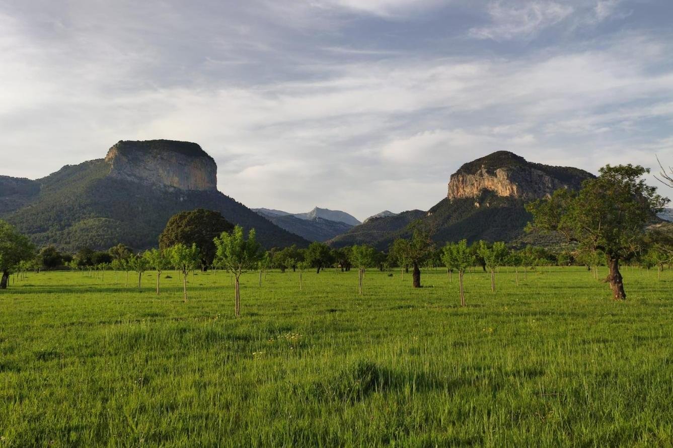 Las Islas Baleares se destacan por tener el mayor porcentaje de pago de ayudas a agricultores y