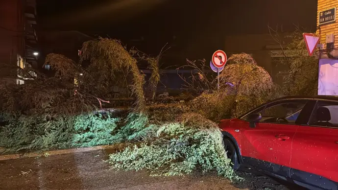 Tormenta de agua, viento y granizo daña árboles y provoca inundaciones en locales de Binéfar,