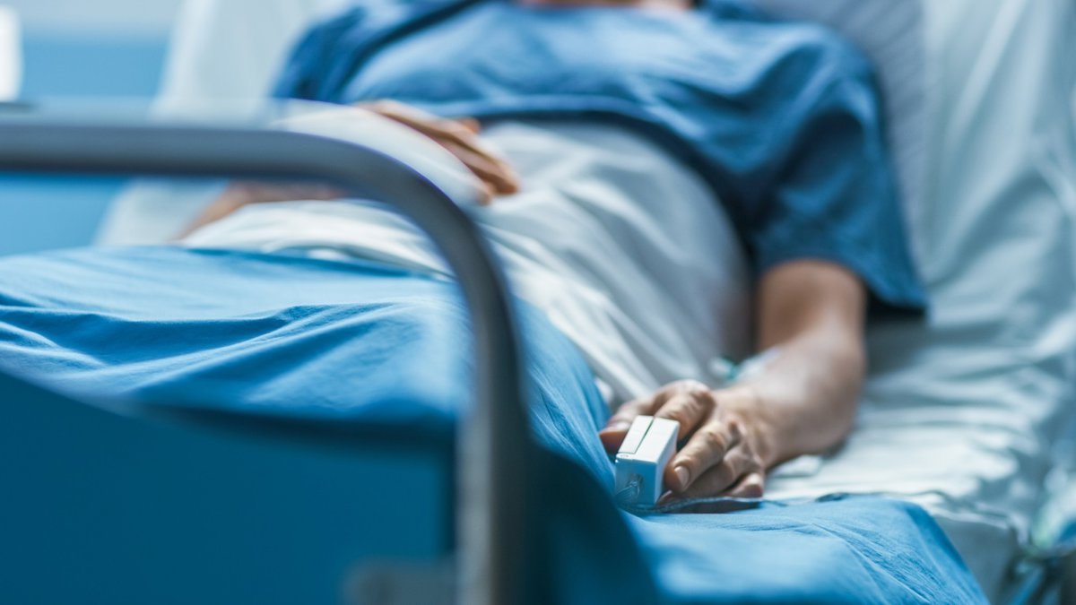 El ECDC alerta sobre el rápido aumento del hongo resistente 'C. auris' en hospitales europeos