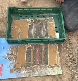 Descubren mural romano del siglo II d.C. en Borja, Zaragoza, un hallazgo sin igual en Hispania
