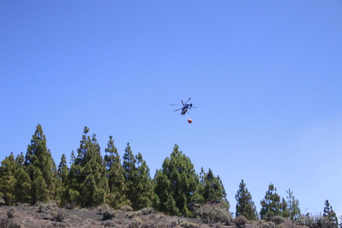 Islas occidentales y Gran Canaria bajo alerta por peligro de incendios forestales en la región