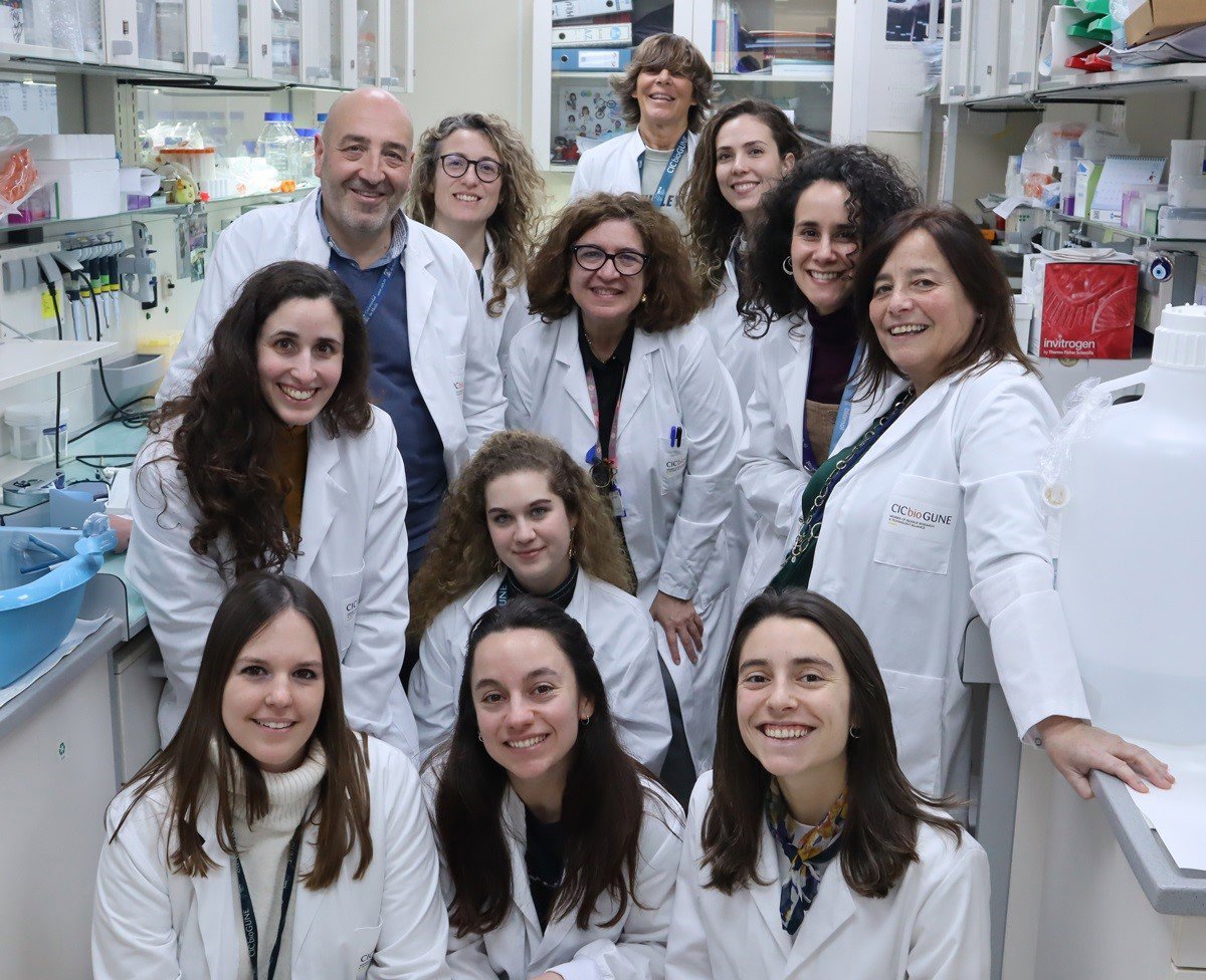 CIC bioGUNE descubre un nuevo enfoque para tratar un cáncer hepático poco común y agresivo
