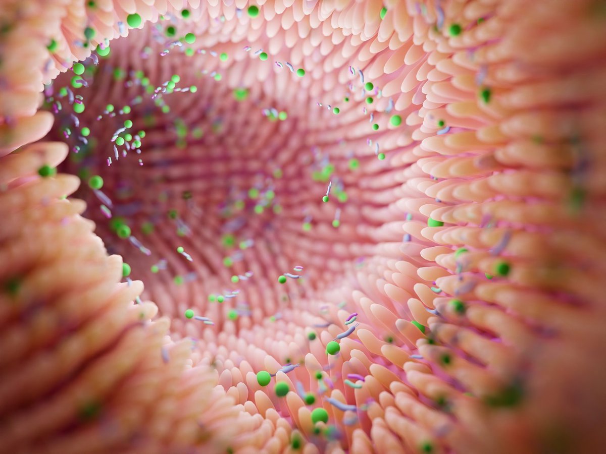 la alteración del microbioma se asocia con un crecimiento inadecuado en la infancia