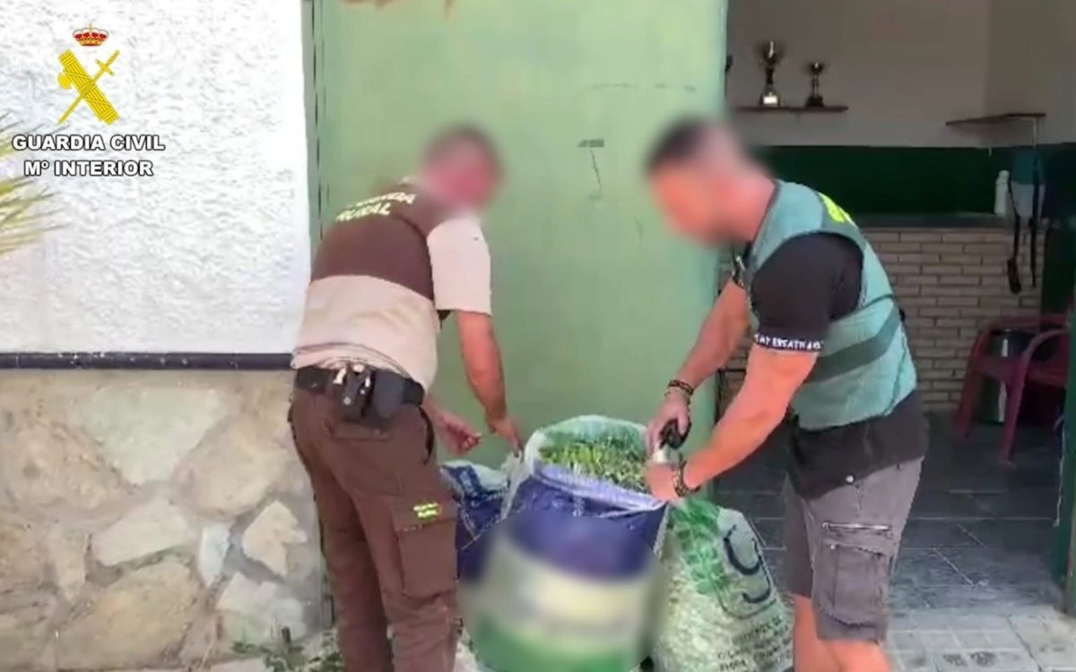 Dos personas arrestadas en Sevilla por sustraer 30 toneladas de aceitunas y maquinaria agrícola en