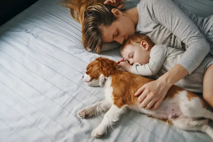 Los bebés que crecen junto a perros podrían tener menor riesgo de asma. ¿Y con gatos?