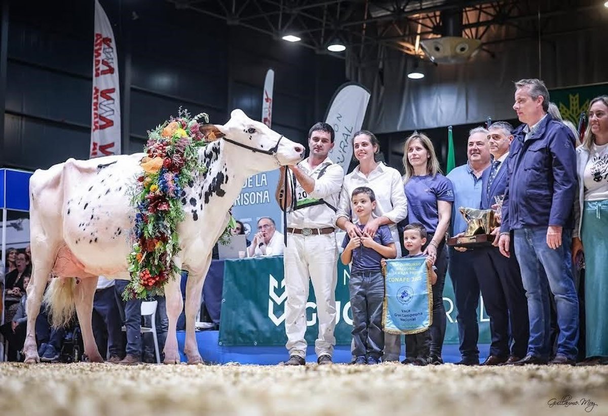 Venturo Happel Rosani, de Casa Ventura, se consagra campeón en el Concurso Nacional de Raza