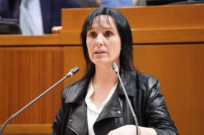 Canales (PSOE) afirma que las acciones del PP en Aragón son más extremas que las de Vox