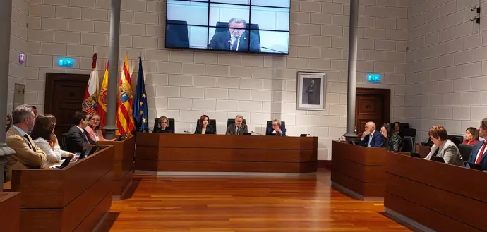 Todos los grupos de la DPZ, excepto Vox, respaldan una moción en contra de la nueva PAC