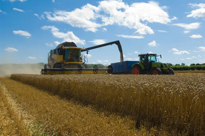 Los agricultores y ganaderos andaluces recibirán 765 millones en anticipos de ayudas directas de