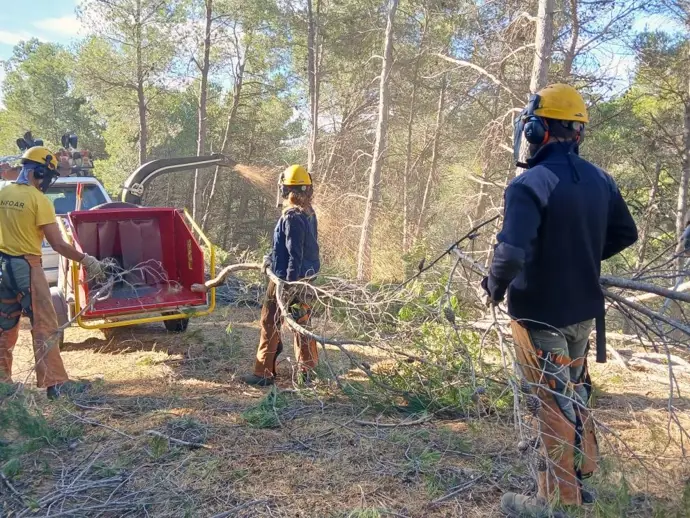 Las brigadas forestales de Aragón gestionan más de 4.400 hectáreas al año para prevenir