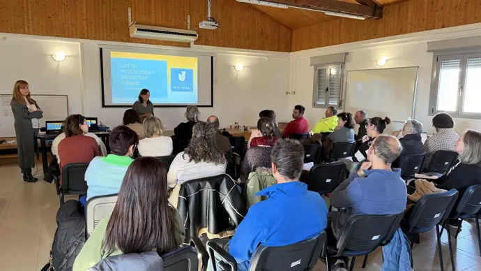 La Diputación de Huesca ayudará a los municipios con la gestión de colonias de gatos.