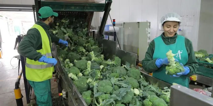 Récord de solicitudes en el programa de ayudas para las industrias agroalimentarias del Récord de solicitudes en el programa de ayudas para las industrias agroalimentarias del