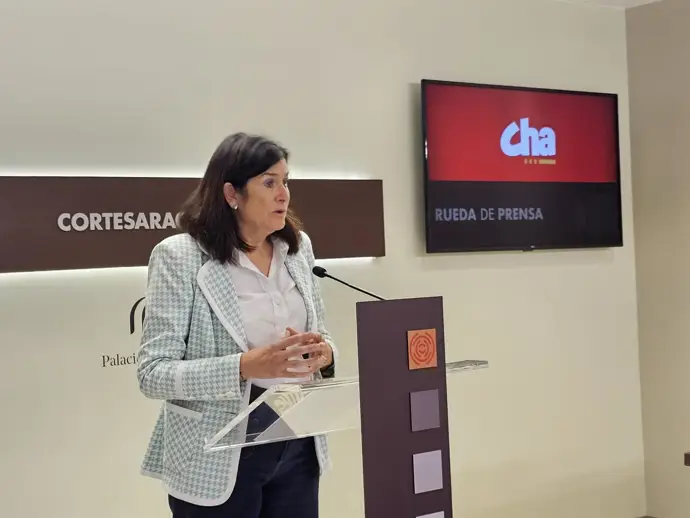 CHA pide atención psicológica y recursos adecuados para familias con bebés prematuros CHA pide atención psicológica y recursos adecuados para familias con bebés prematuros