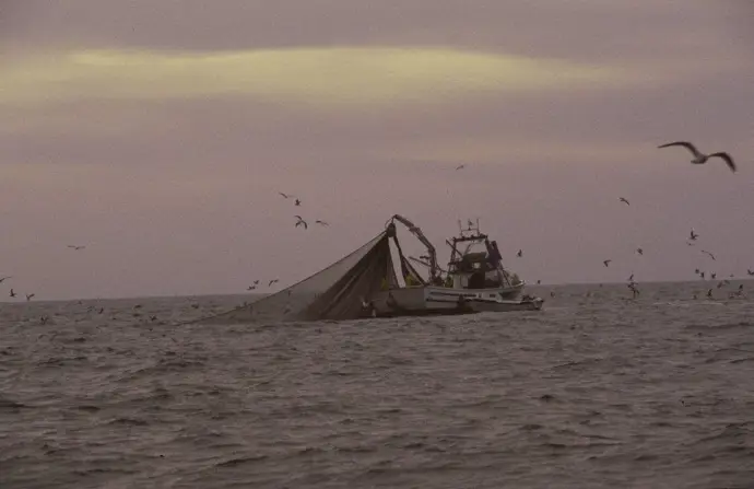 La pesca de la cigala en el Golfo de Cádiz se cerrará el lunes al agotarse la cuota establecida