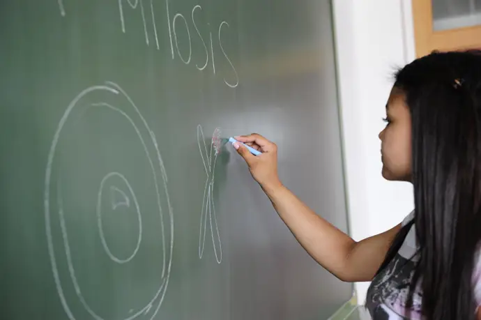 ANPE Aragón solicita a Educación que asegure las sustituciones docentes para el nuevo curso