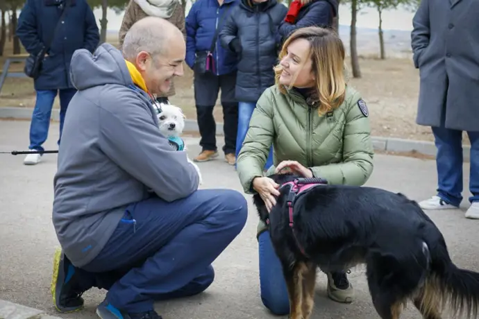 Alegría (PSOE) promoverá respaldo a protectoras y municipios aragoneses para gastos veterinarios