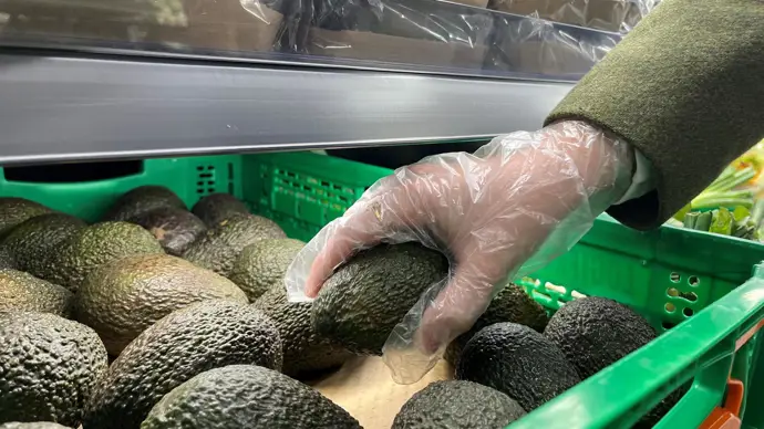 El 95% de los aguacates que comercializará Mercadona hasta abril son de origen andaluz
