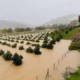 Desalojo de una decena de personas en Jimena por el desbordamiento del río Hozgarganta