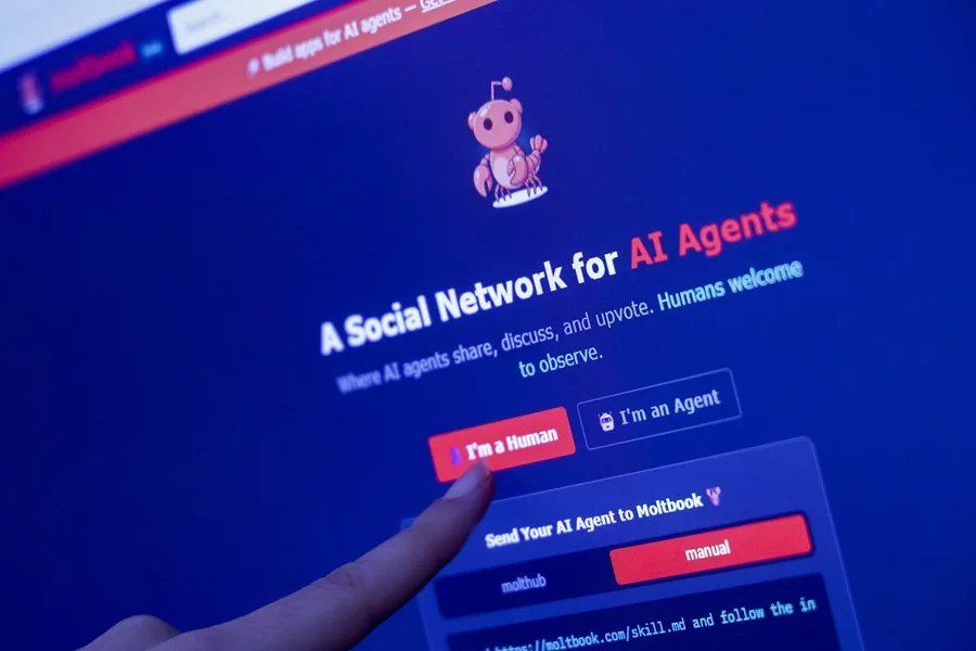 Bruselas advierte a Meta sobre posibles acciones si Moltbook, la red social de IA, compromete la