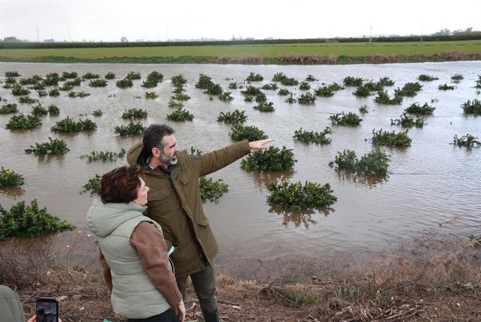 Andalucía pedirá la declaración de catástrofe natural para ayudar a agricultores y ganaderos