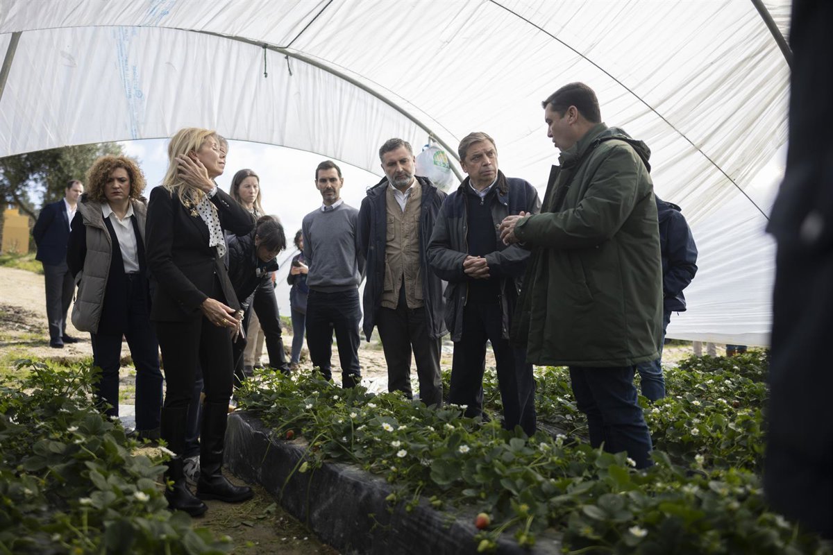 Planas solicita a la UE activar la reserva agrícola ante 14.000 hectáreas dañadas por temporales