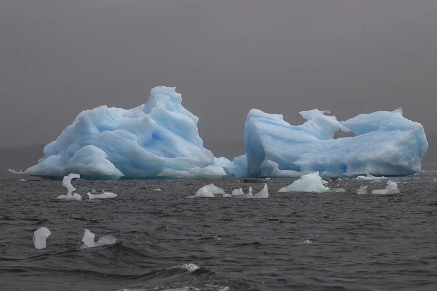 La costa antártica ha perdido más de 12.800 km² de hielo en tres décadas, mientras Apple