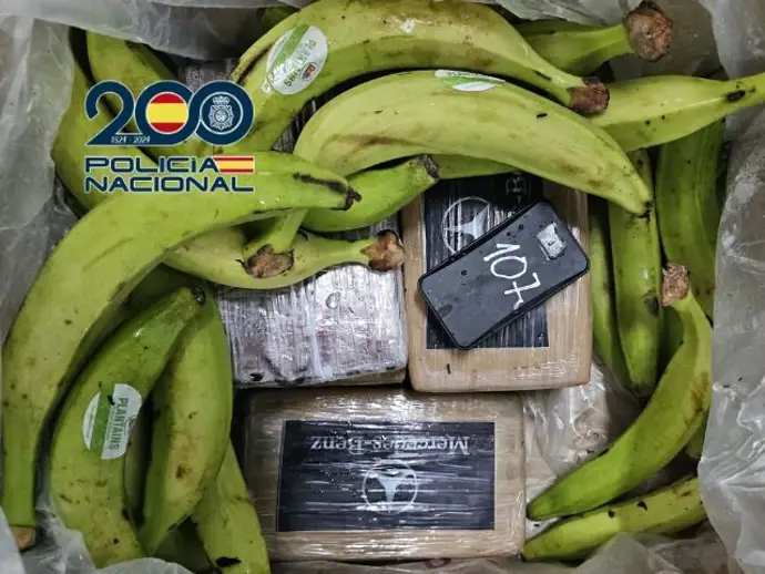 Tres arrestados en el puerto de Algeciras por introducir 240 kilos de cocaína en cajas de plátanos Tres arrestados en el puerto de Algeciras por introducir 240 kilos de cocaína en cajas de plátanos