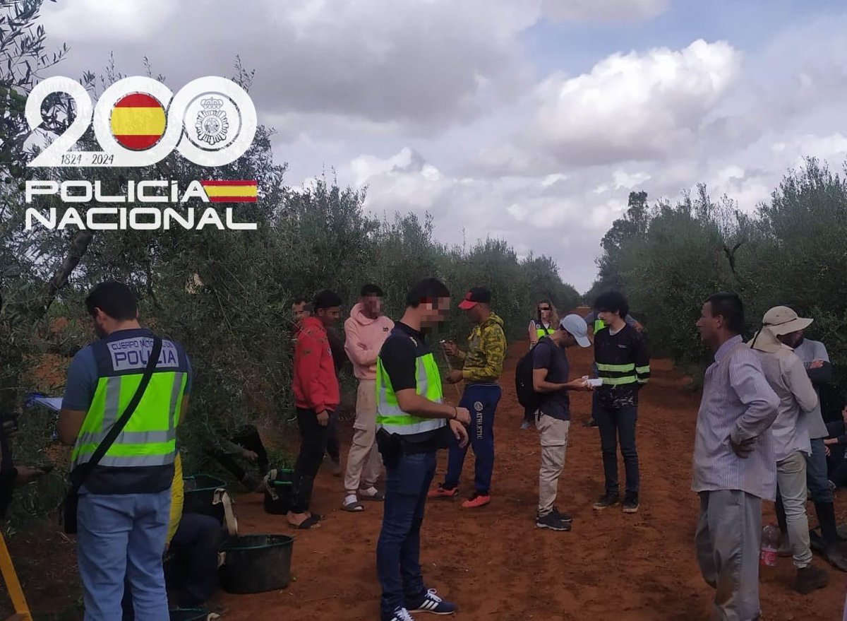 Rescatan a 45 trabajadores irregulares explotados en la cosecha de mandarinas en Dos Hermanas,