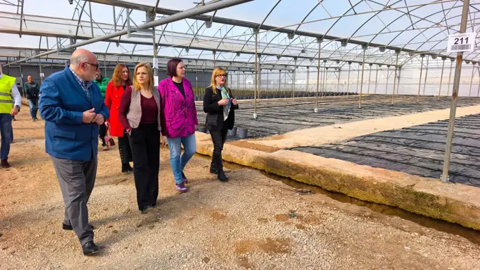 Agricultura destina 26,4 millones a reparar los daños por la dana en el sector agrario de Chiva
