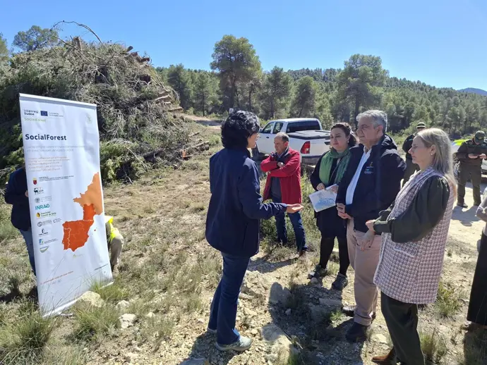 CARM lanza en Cehegín un proyecto piloto para adaptar los pinares al cambio climático y evitar