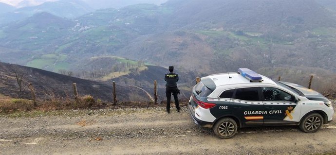 Zona afectada por el incendio.