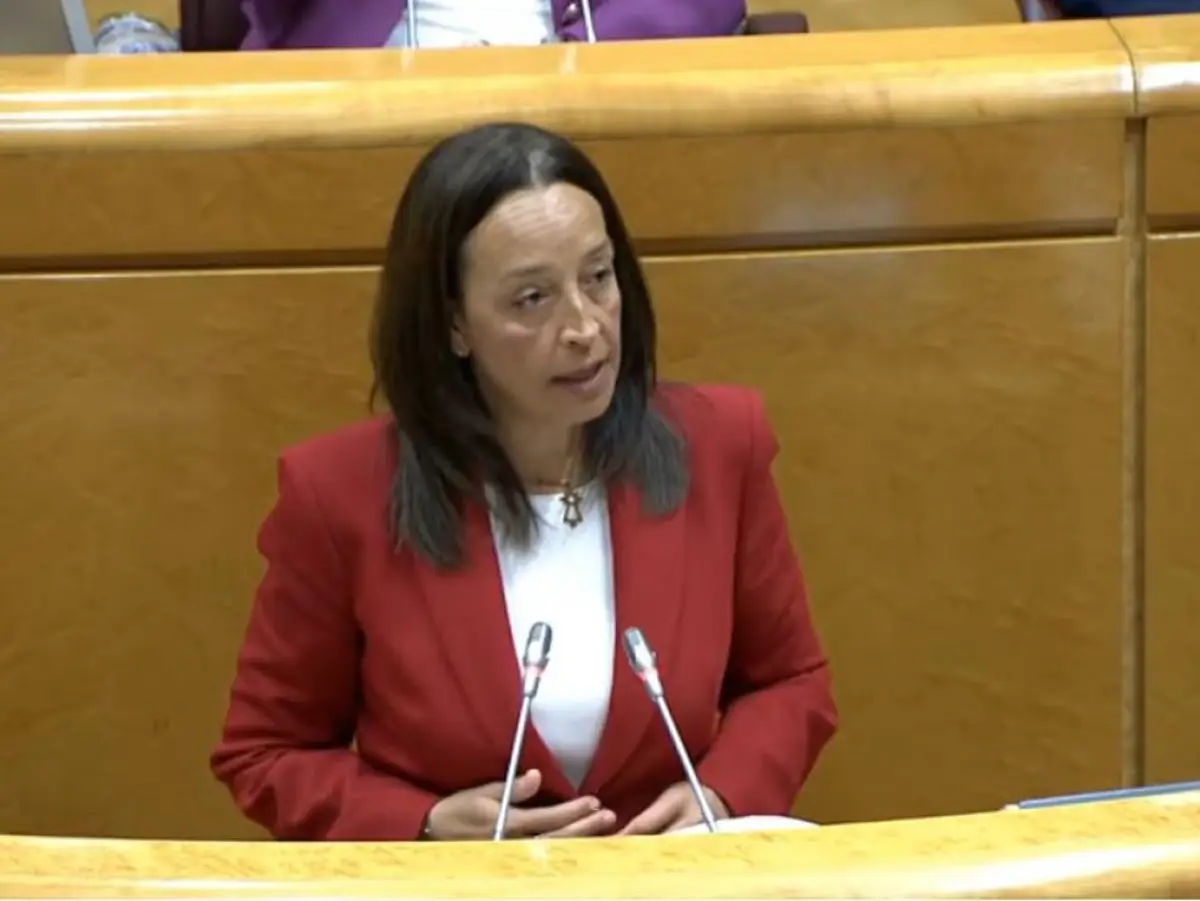 Susín presenta en el Senado los logros del sistema de dependencia en Aragón y pide más recursos