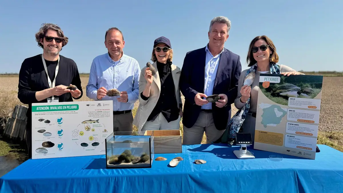 Primera liberación de larvas de 'petxinot' en l'Albufera para asegurar su supervivencia en el