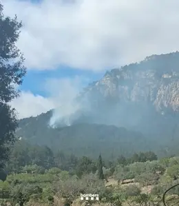 Diez dotaciones de bomberos se enfrentan a un incendio forestal en Paüls, Tarragona.