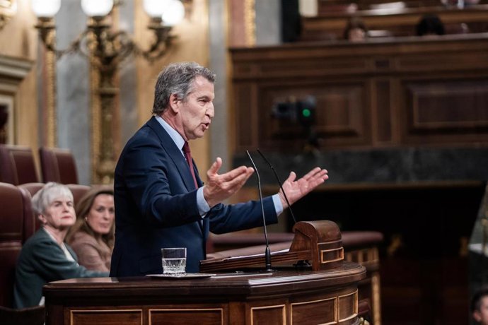 El presidente del Partido Popular, Alberto N&uacute;&ntilde;ez Feij&oacute;o