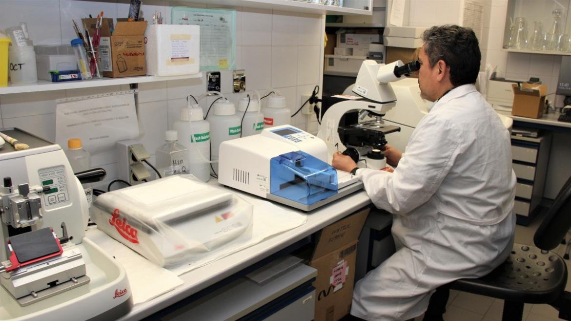 Investigadores del Hospital Clínico San Carlos crean un hidrogel que ayuda en la recuperación de