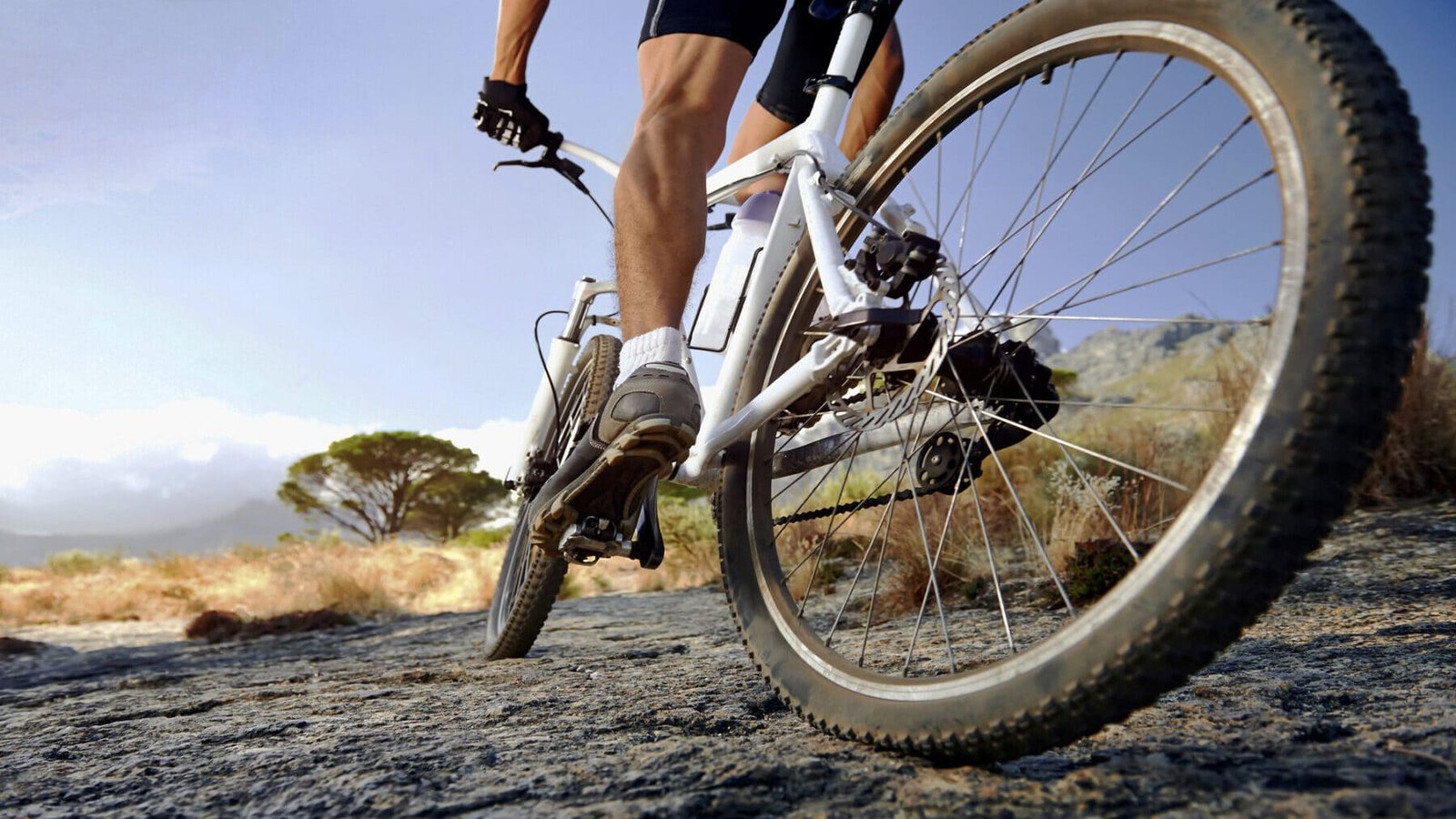 Navarra promueve el turismo activo con el centro de cicloturismo Bertiz y rutas BTT en