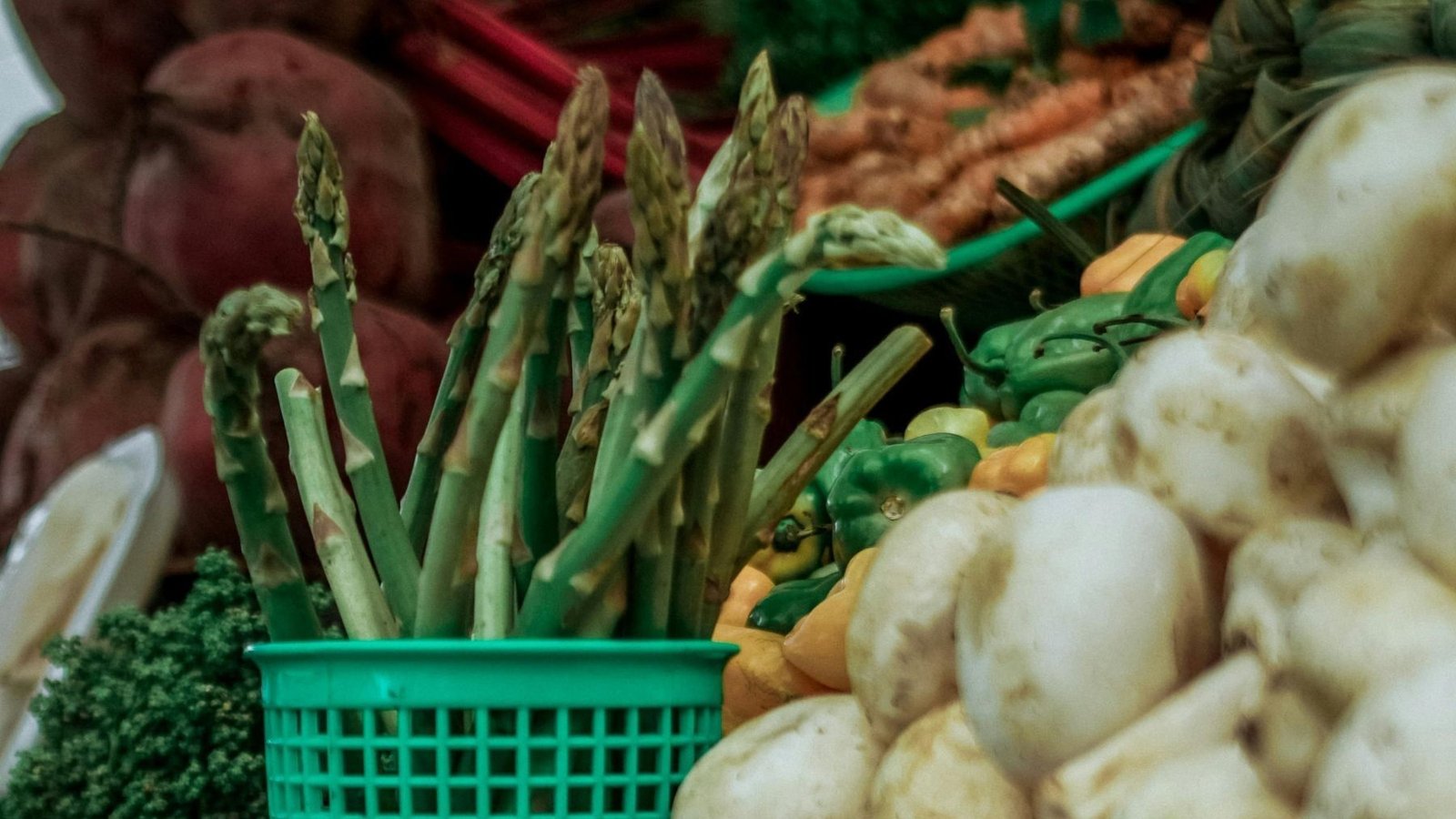 BioCantabria presenta productos ecológicos y consumo responsable en Santander, destacado evento