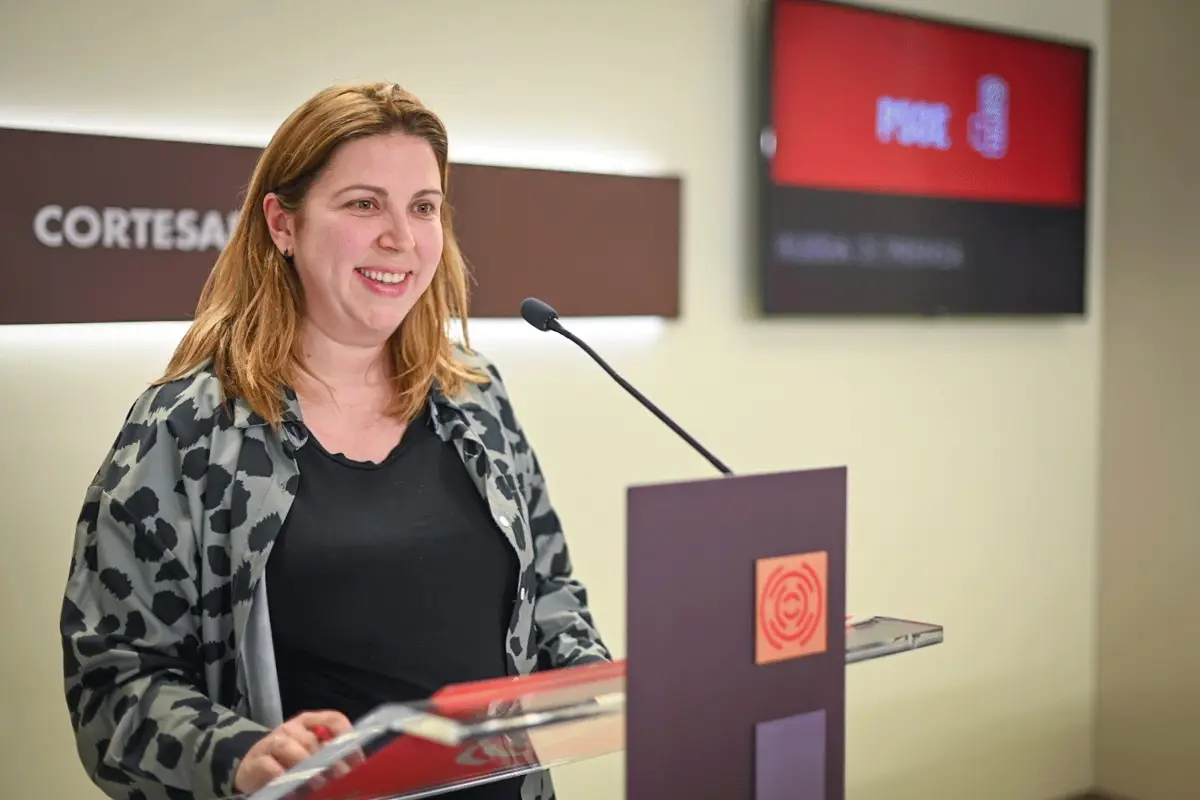Ariño (PSOE) critica al PP por usar las instituciones para atacar a Sánchez por el Nudo Mudéjar Ariño (PSOE) critica al PP por usar las instituciones para atacar a Sánchez por el Nudo Mudéjar