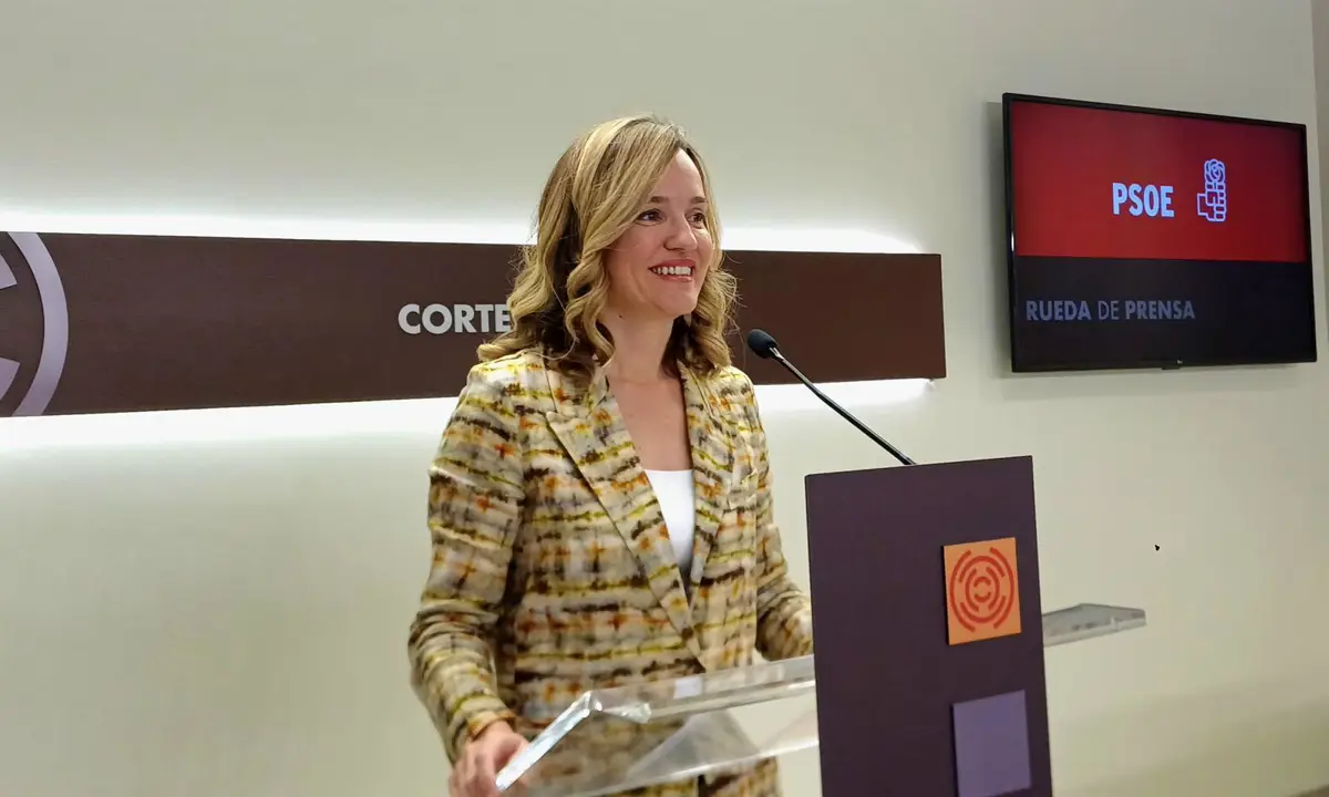 Alegría (PSOE) solicita la comparecencia de Azcón en las Cortes por el Bachillerato en español