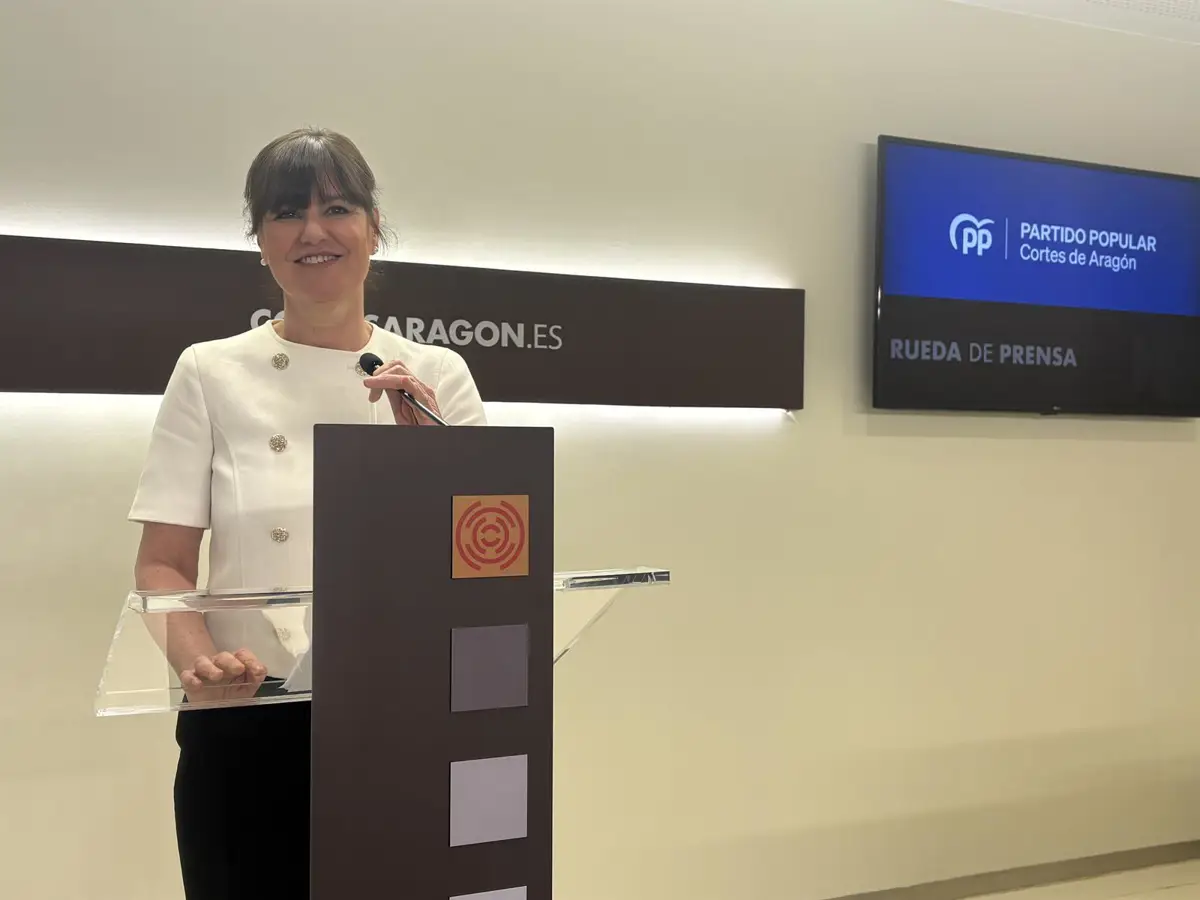 Allué (PP) solicita al Gobierno de España una financiación adecuada para la educación especial Allué (PP) solicita al Gobierno de España una financiación adecuada para la educación especial