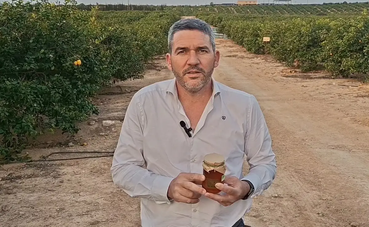 El PPRM pide a Sánchez apoyo económico para que los apicultores enfrenten el aumento de costes