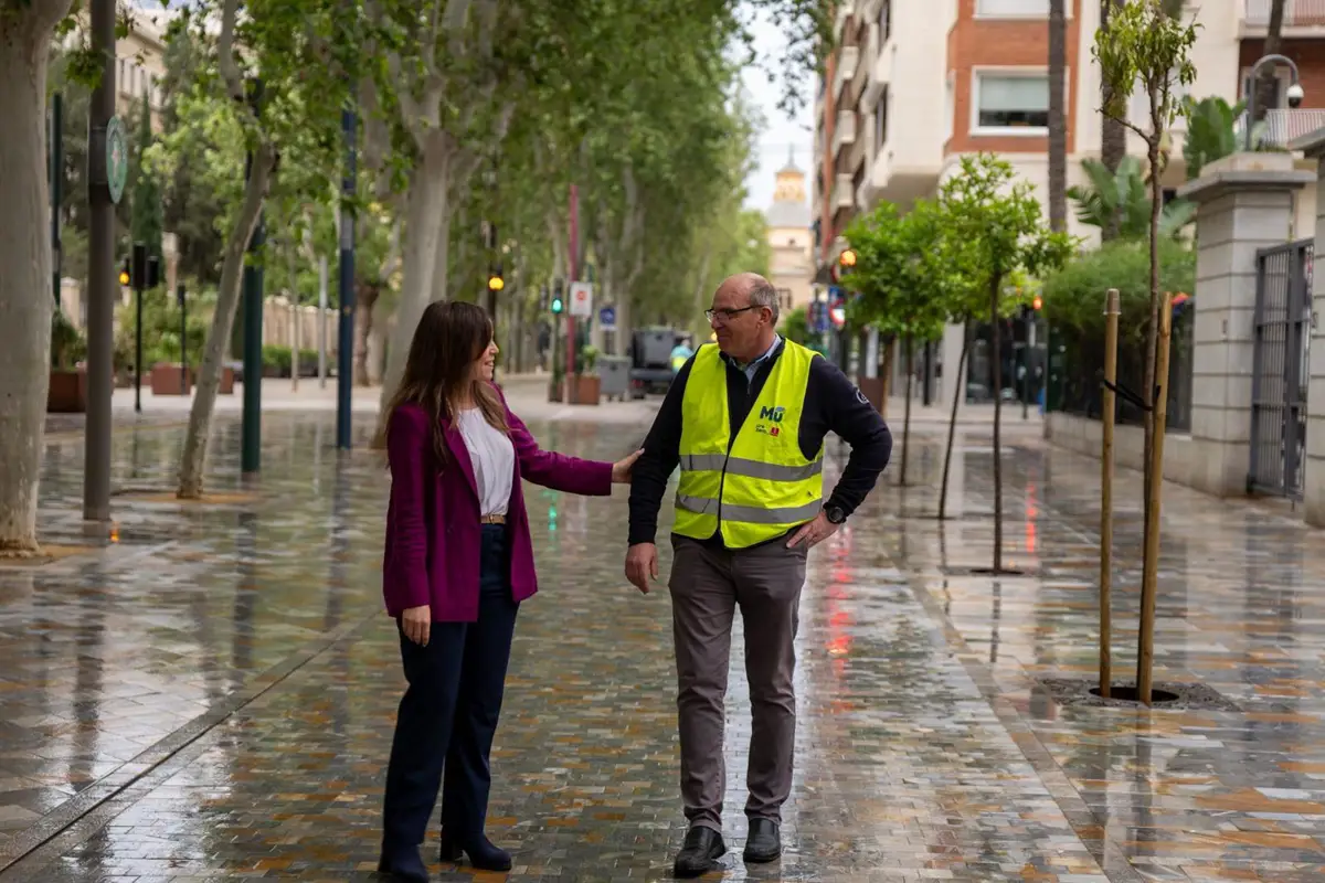 El operativo de limpieza finaliza con éxito tras un multitudinario entierro de la sardina