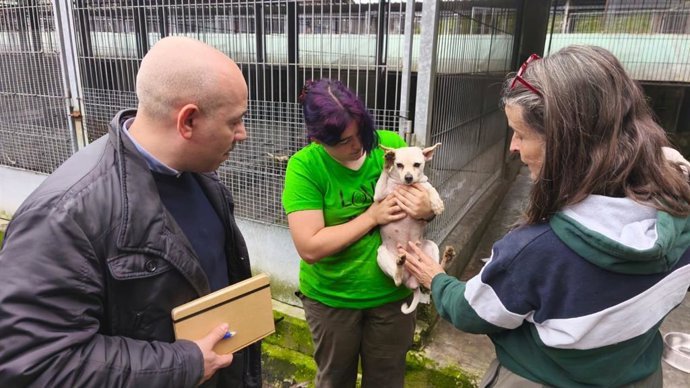 El concejal de Medio Ambiente y Sostenibilidad de Gij&oacute;n, Rodrigo Pintueles, junto a la responsable del Albergue de Ser&iacute;n, Alejandra Mier, con uno de los perros rescatados del criadero ilegal de Gij&oacute;n.