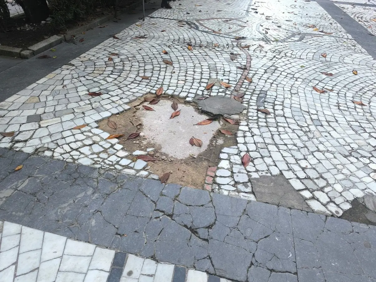 Vox solicita al Ayuntamiento de Oviedo que tome medidas ante el socavón en el Paseo de los Álamos