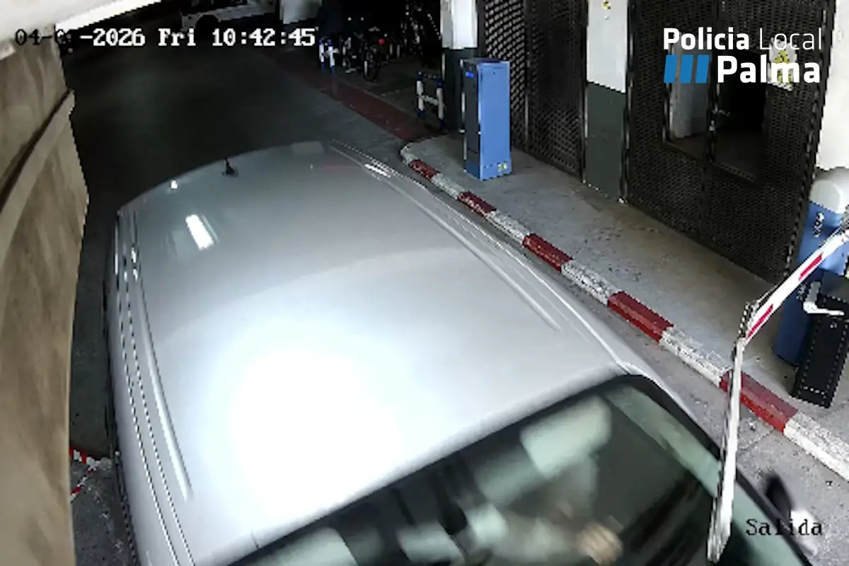 Dos jóvenes irrumpen en el depósito municipal de Palma, robando su propio coche y escapando.