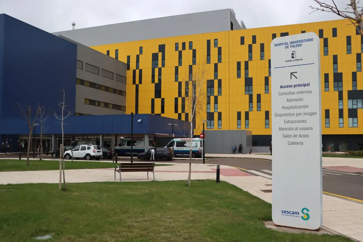 Dos personas resultan heridas tras la caída de un árbol en una calle de Argés